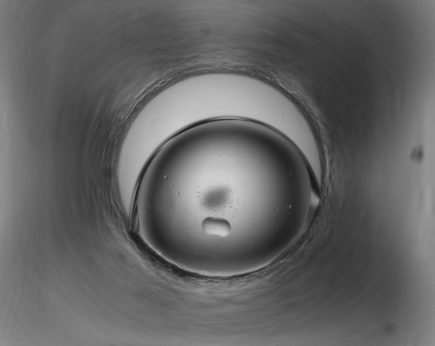 X0000116800021200912181328