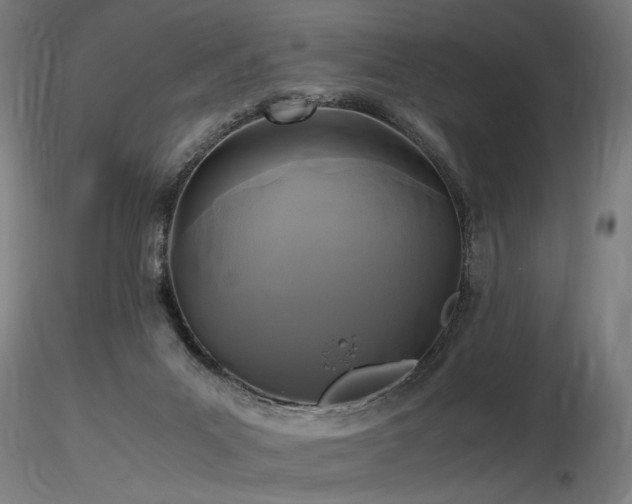 X0000116800023200912181328