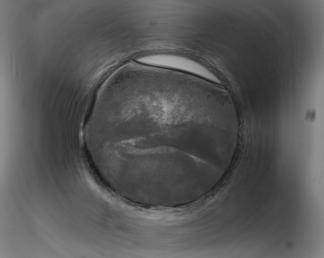 X0000116800024200912181328