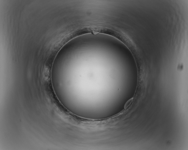 X0000116800025200912181328