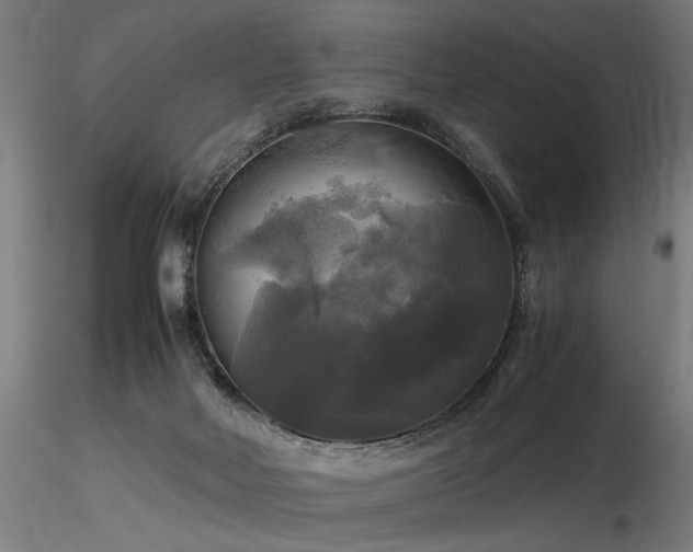 X0000116800026200912181328