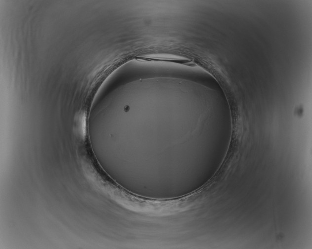 X0000116800027200912181328