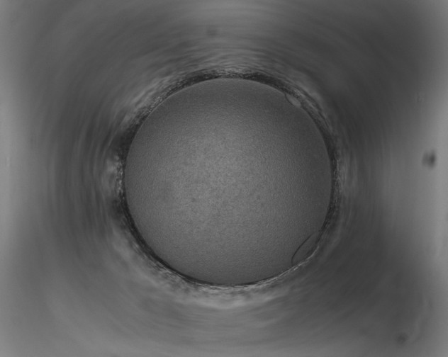 X0000116800029200912181328