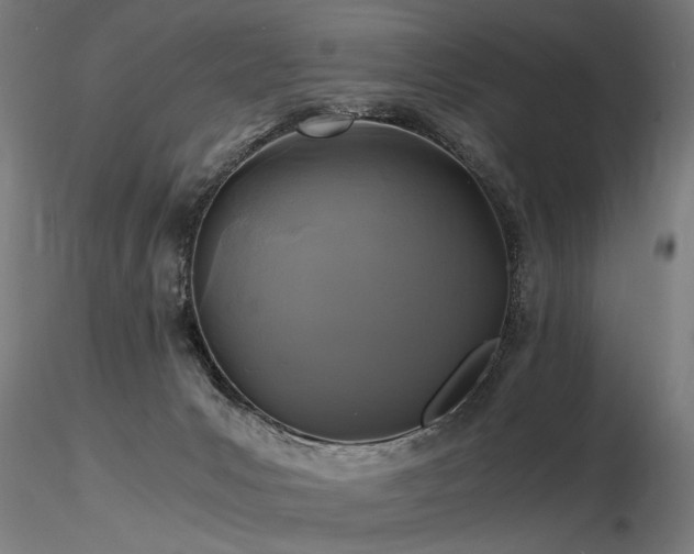 X0000116800031200912181328