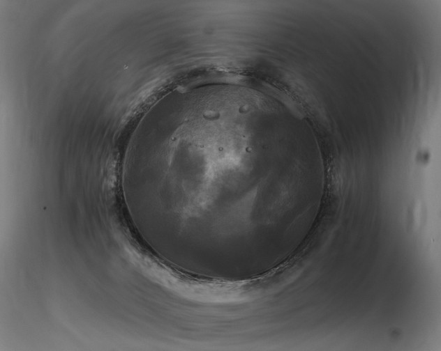 X0000116800032200912181328