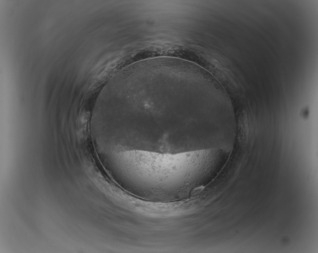 X0000116800034200912181328