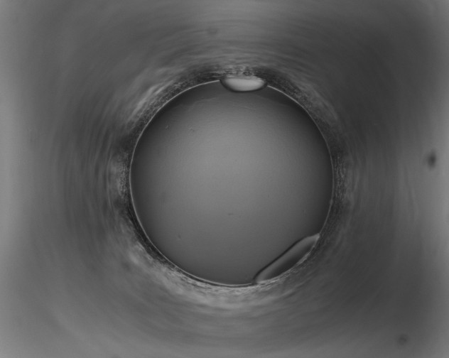 X0000116800035200912181328