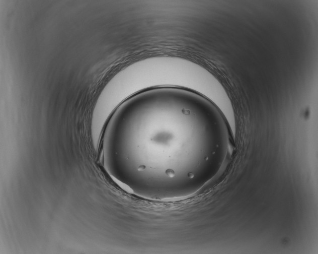 X0000116800037200912181328