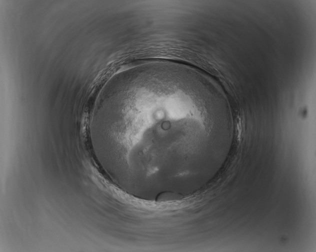 X0000116800038200912181328