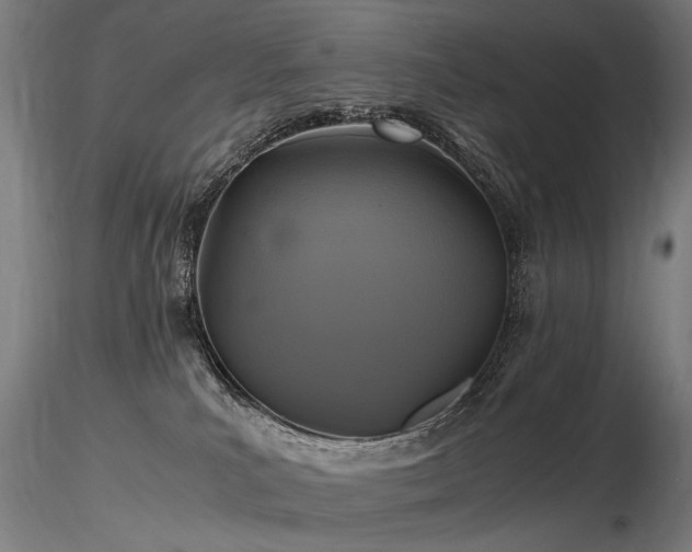 X0000116800039200912181328