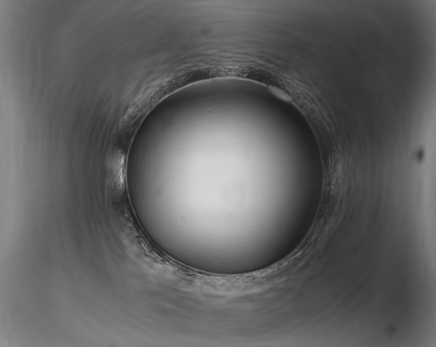 X0000116800041200912181328