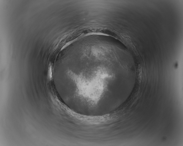 X0000116800042200912181328