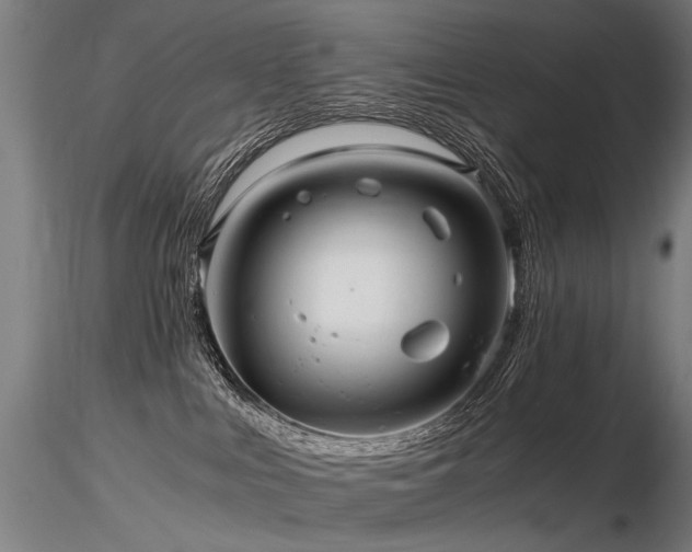 X0000116800043200912181328