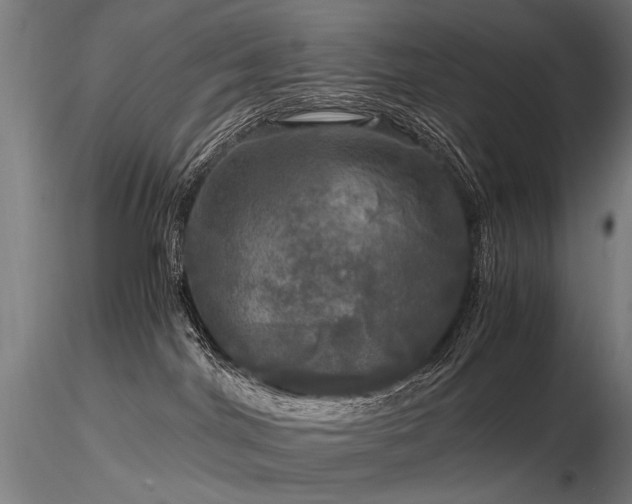 X0000116800044200912181328