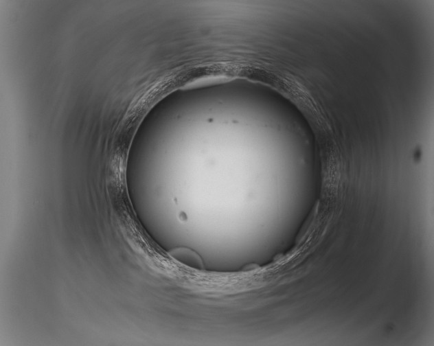 X0000116800045200912181328