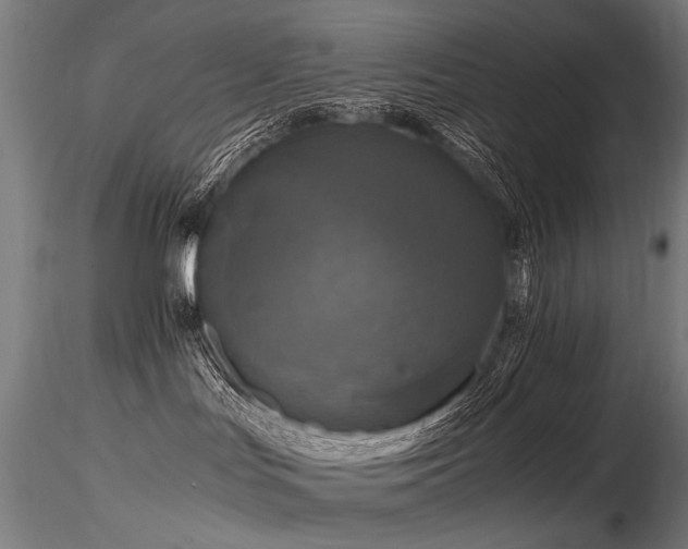 X0000116800047200912181328