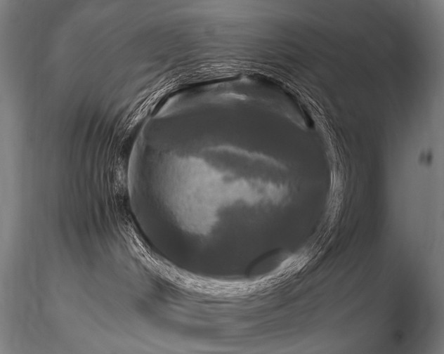 X0000116800048200912181328