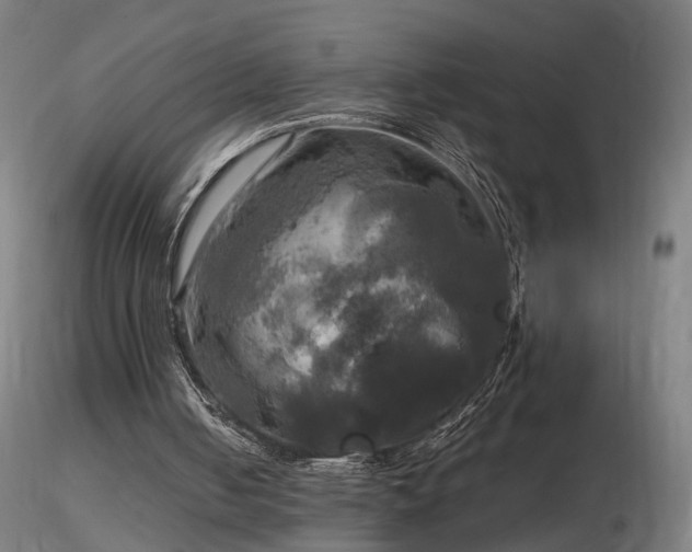 X0000116800050200912181327