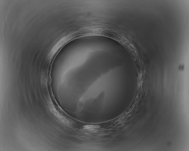 X0000116800051200912181327