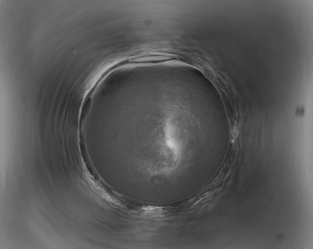 X0000116800052200912181327