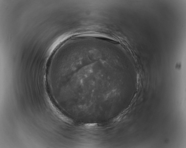 X0000116800054200912181327