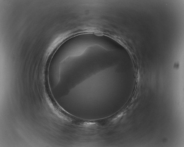 X0000116800055200912181327