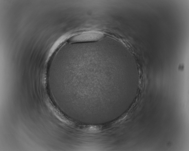 X0000116800056200912181327