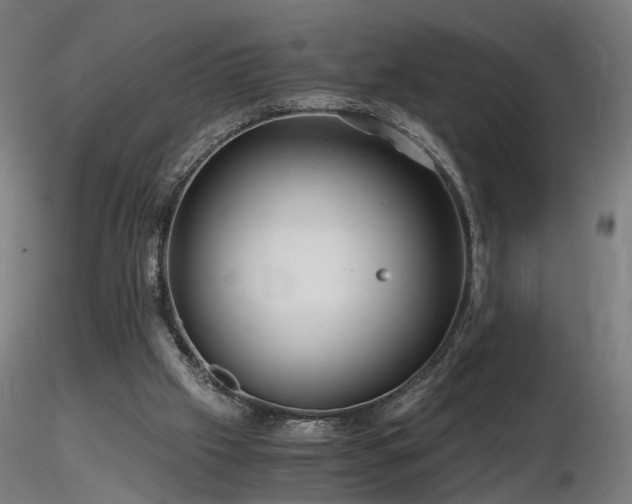 X0000116800057200912181327