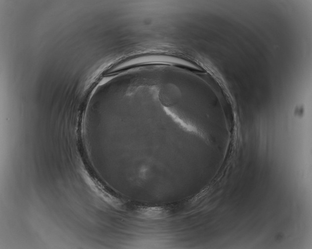 X0000116800058200912181327