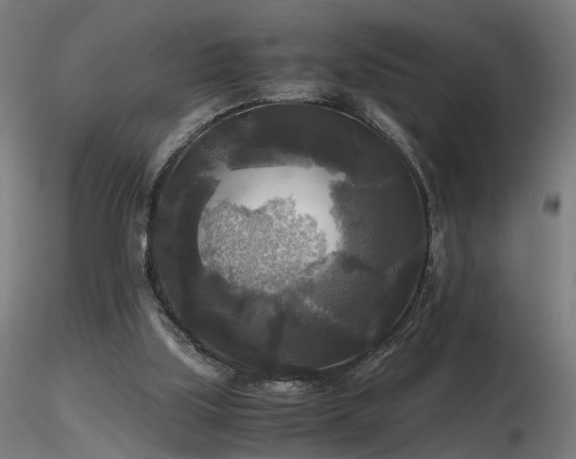 X0000116800059200912181327