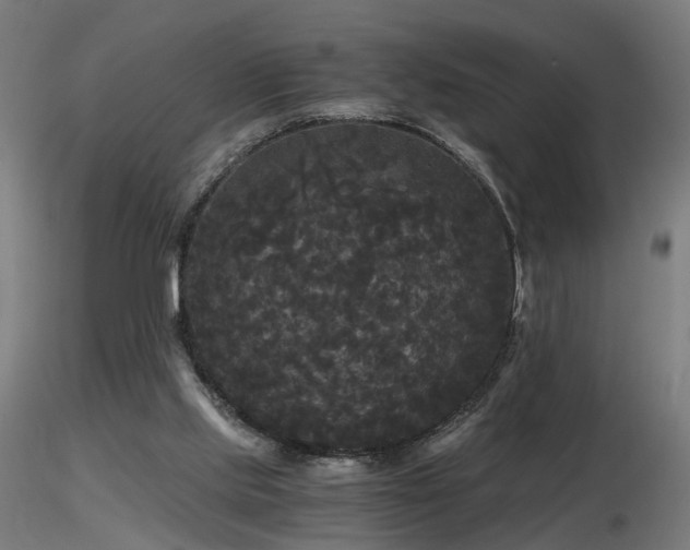 X0000116800061200912181327