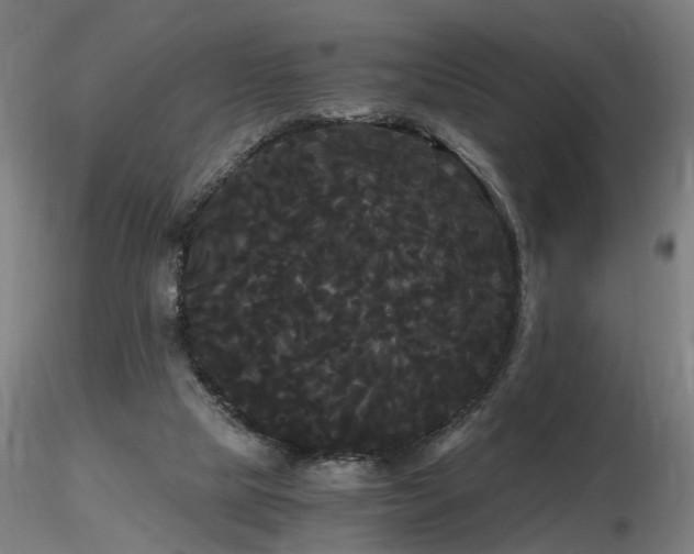 X0000116800065200912181327