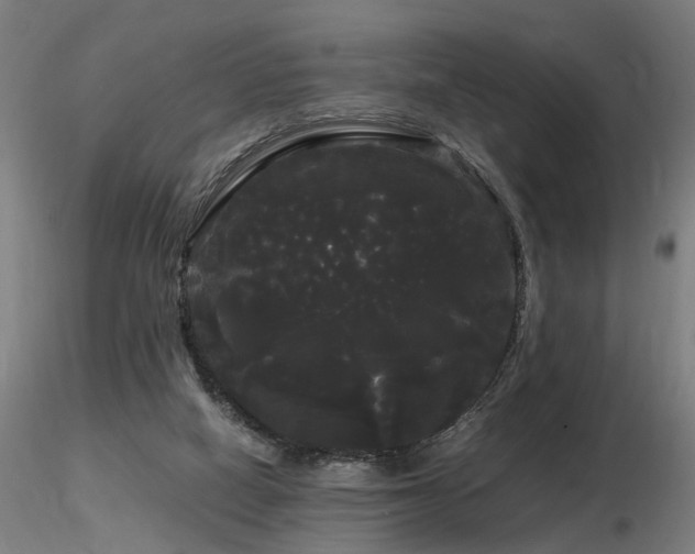 X0000116800066200912181327