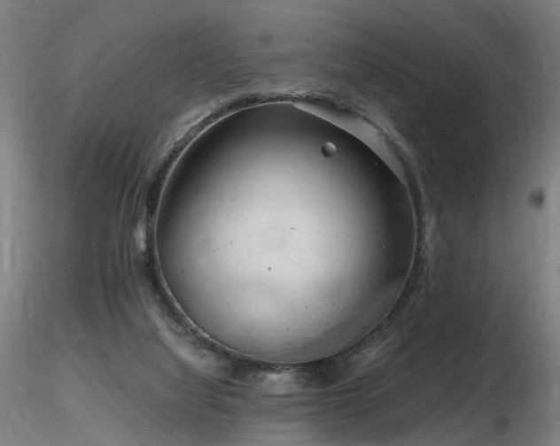 X0000116800068200912181327