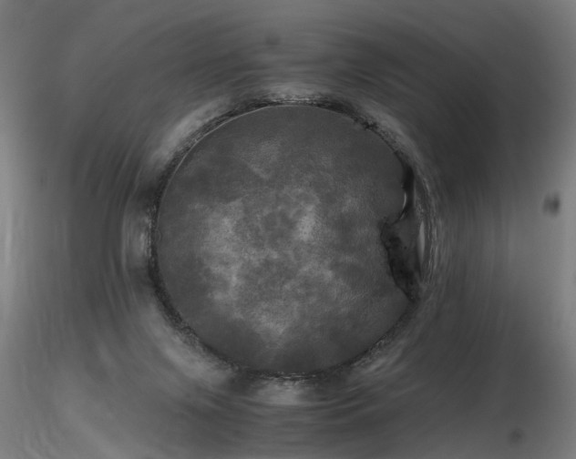 X0000116800071200912181327