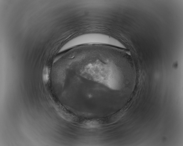 X0000116800075200912181327