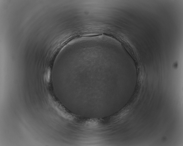 X0000116800076200912181327