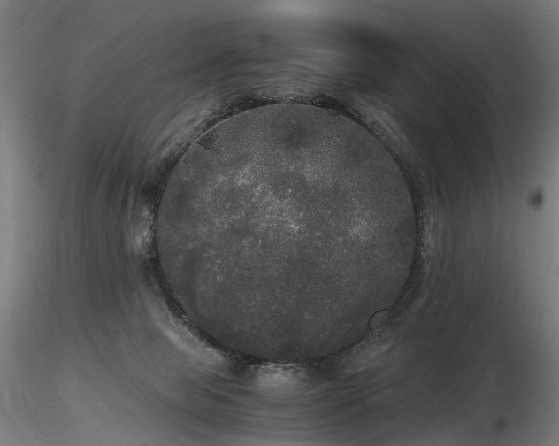 X0000116800077200912181327