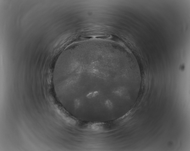 X0000116800078200912181327