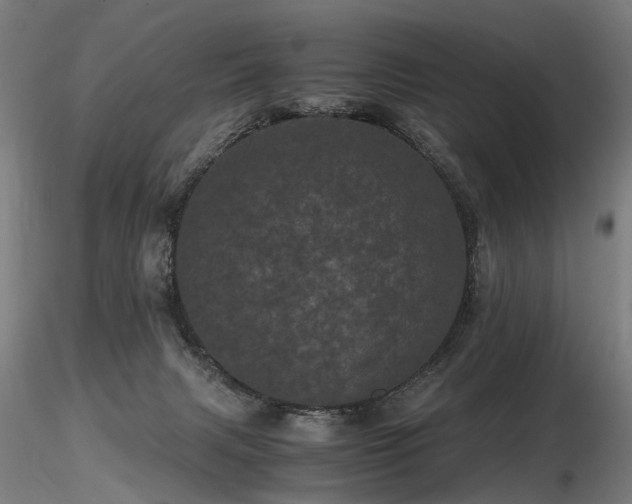 X0000116800079200912181327