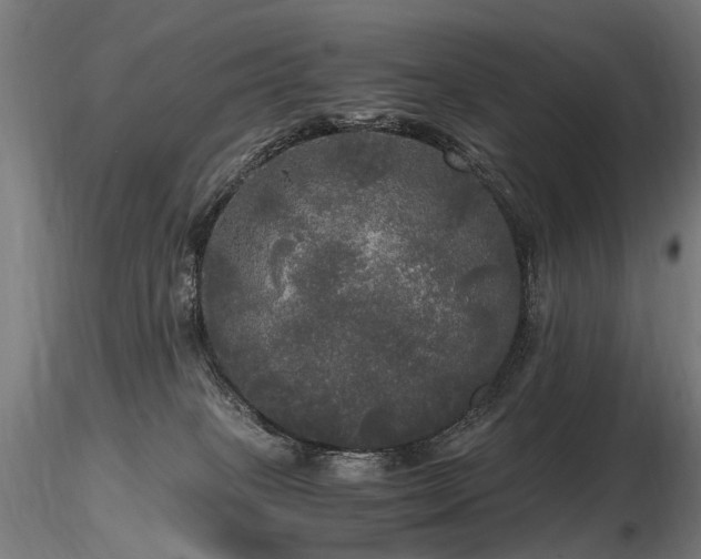 X0000116800085200912181327