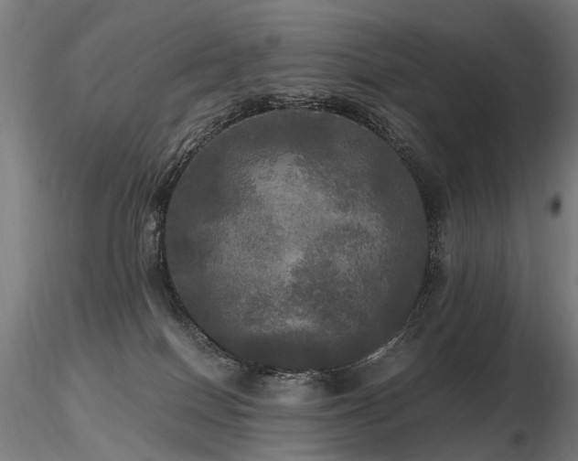 X0000116800086200912181327