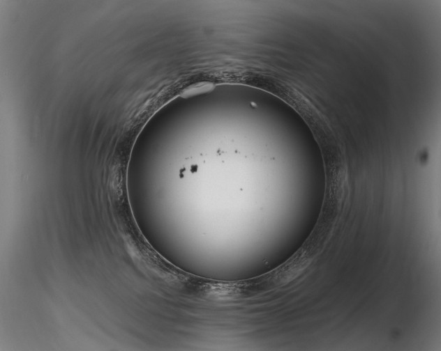 X0000116800088200912181327