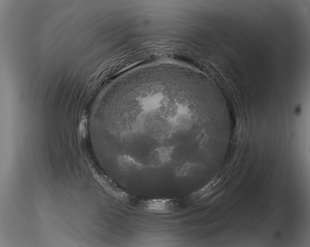 X0000116800090200912181327