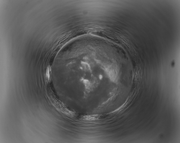 X0000116800094200912181328