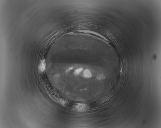 X0000116800095200912181328