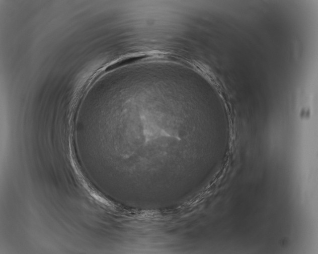 X0000116800097200912181327