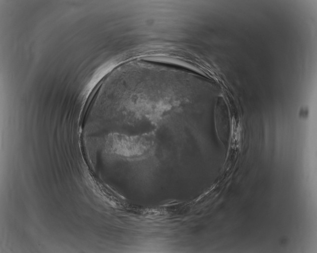 X0000116800099200912181327