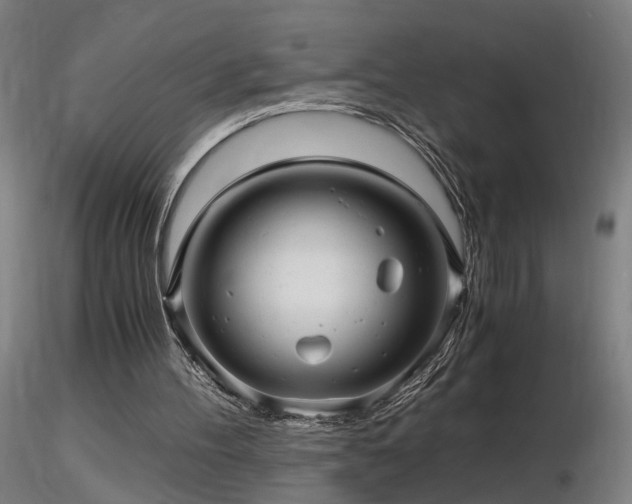 X0000116800100200912181327