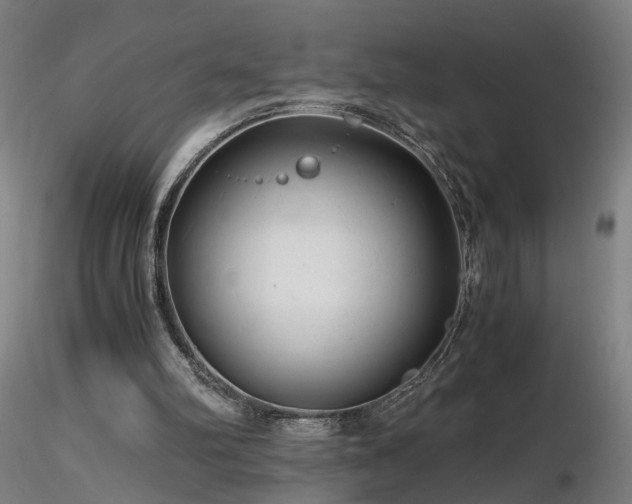 X0000116800102200912181327